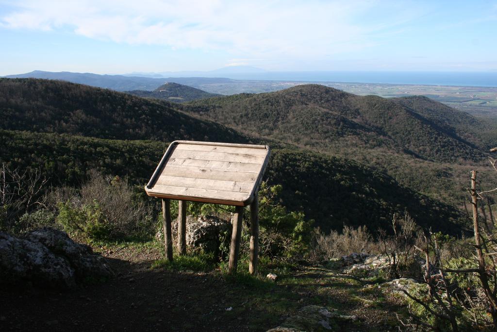 La Sassetta Βίλα Bibbona Εξωτερικό φωτογραφία